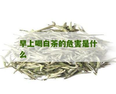 早上喝白茶的危害是什么