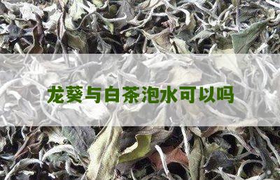 龙葵与白茶泡水可以吗