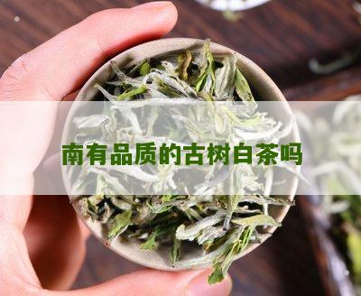 南有品质的古树白茶吗