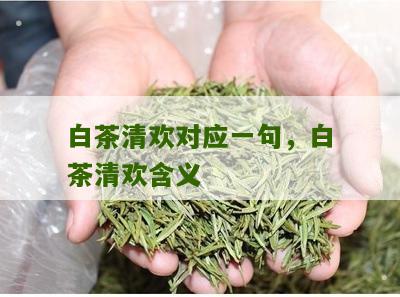 白茶清欢对应一句，白茶清欢含义