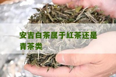 安吉白茶属于红茶还是青茶类