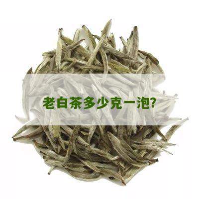 老白茶多少克一泡？