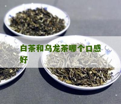 白茶和乌龙茶哪个口感好