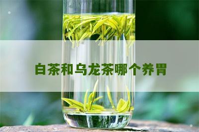 白茶和乌龙茶哪个养胃