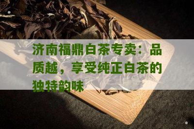 济南福鼎白茶专卖：品质越，享受纯正白茶的独特韵味