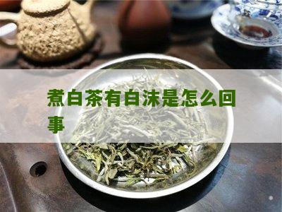 煮白茶有白沫是怎么回事