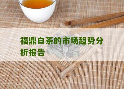 福鼎白茶的市场趋势分析报告