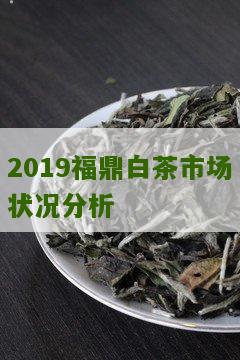 2019福鼎白茶市场状况分析