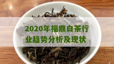 2020年福鼎白茶行业趋势分析及现状