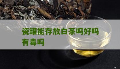 瓷罐能存放白茶吗好吗有毒吗