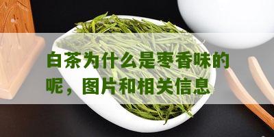 白茶为什么是枣香味的呢，图片和相关信息