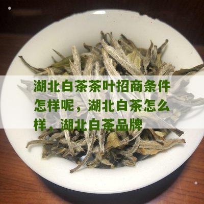 湖北白茶茶叶招商条件怎样呢，湖北白茶怎么样，湖北白茶品牌