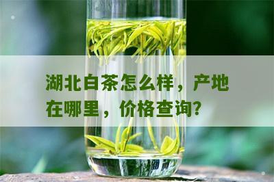 湖北白茶怎么样，产地在哪里，价格查询？