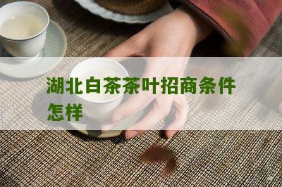 湖北白茶茶叶招商条件怎样