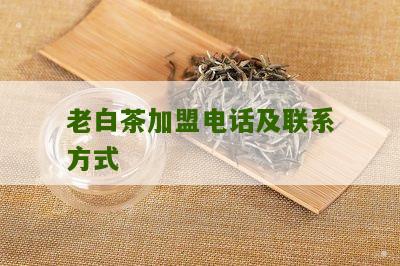 老白茶加盟电话及联系方式