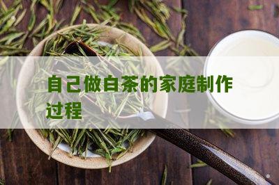 自己做白茶的家庭制作过程