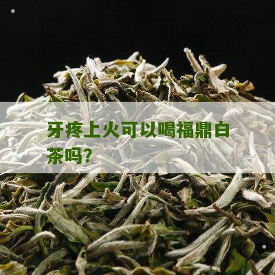 牙疼上火可以喝福鼎白茶吗？