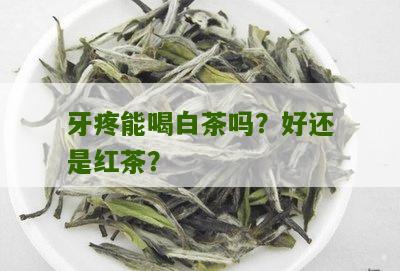 牙疼能喝白茶吗？好还是红茶？