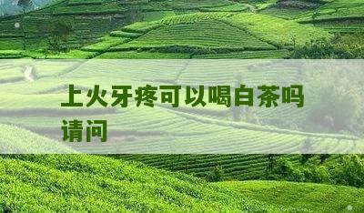 上火牙疼可以喝白茶吗请问