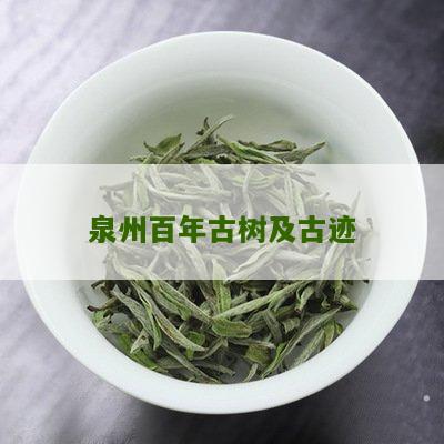 泉州百年古树及古迹