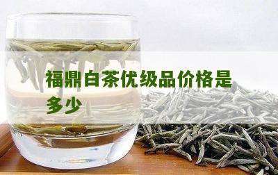 福鼎白茶优级品价格是多少