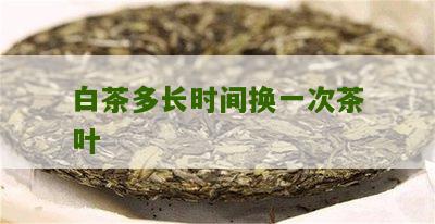 白茶多长时间换一次茶叶