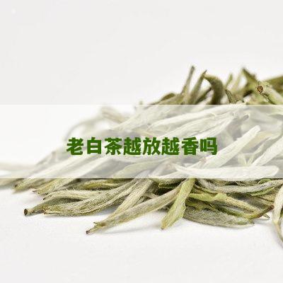 老白茶越放越香吗