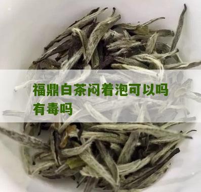 福鼎白茶闷着泡可以吗有毒吗