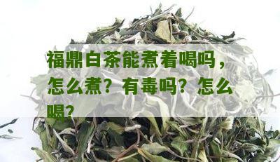 福鼎白茶能煮着喝吗，怎么煮？有毒吗？怎么喝？