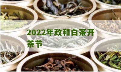 2022年政和白茶开茶节