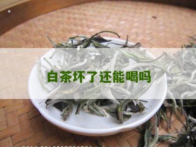 白茶坏了还能喝吗