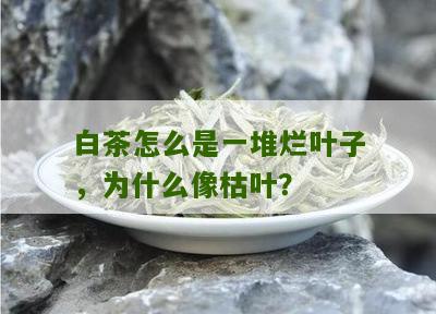 白茶怎么是一堆烂叶子，为什么像枯叶？