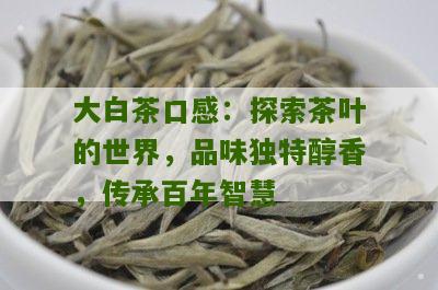 大白茶口感：探索茶叶的世界，品味独特醇香，传承百年智慧