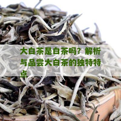 大白茶是白茶吗？解析与品尝大白茶的独特特点