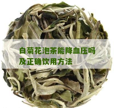 白菊花泡茶能降血压吗及正确饮用方法