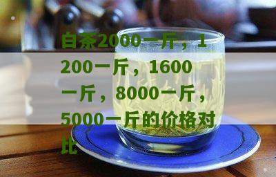 白茶2000一斤，1200一斤，1600一斤，8000一斤，5000一斤的价格对比