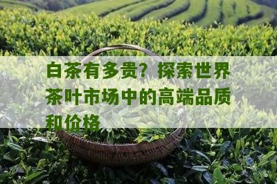 白茶有多贵？探索世界茶叶市场中的高端品质和价格