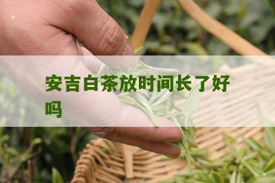 安吉白茶放时间长了好吗