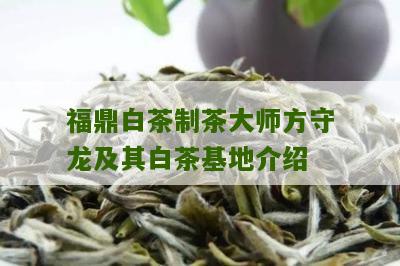 福鼎白茶制茶大师方守龙及其白茶基地介绍