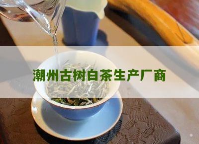 潮州古树白茶生产厂商