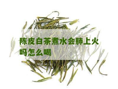 陈皮白茶煮水会肺上火吗怎么喝