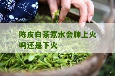 陈皮白茶煮水会肺上火吗还是下火