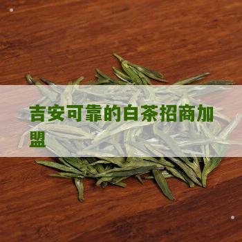 吉安可靠的白茶招商加盟