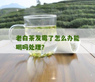 老白茶发霉了怎么办能喝吗处理？