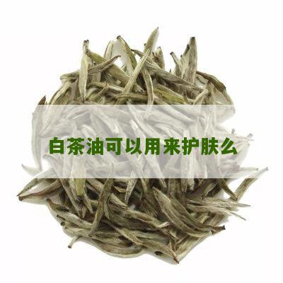 白茶油可以用来护肤么