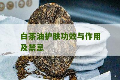 白茶油护肤功效与作用及禁忌