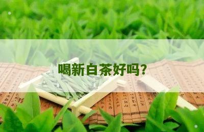 喝新白茶好吗？