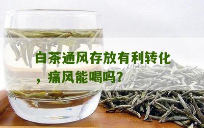 白茶通风存放有利转化，痛风能喝吗？