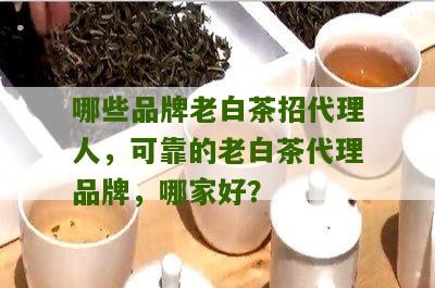 哪些品牌老白茶招代理人，可靠的老白茶代理品牌，哪家好？