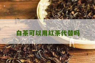 白茶可以用红茶代替吗